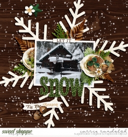 EvergreenDream_Miscellaneous25WebWM.jpg