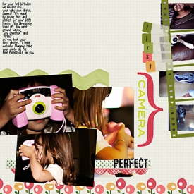 FirstCamera_web.jpg