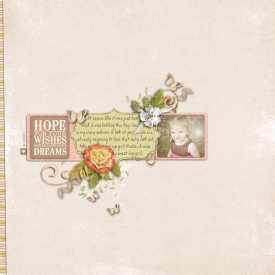 HOPE_FOR_YOUR_WISHES.jpg
