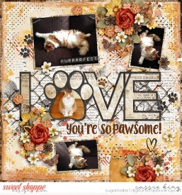 HSA--Making-Memories-_11-_KH-honey-maple-hill_-purr-fect_.jpg