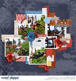 HangOn_Showcase2WebWM.jpg