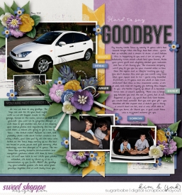 Hard-to-say-goodbye_b.jpg