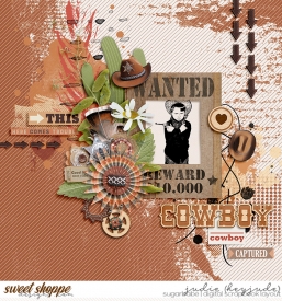 Here-Comes-Trouble-WM.jpg