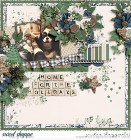 Home-for-the-Holidays-2-WM.jpg