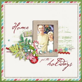 Home-for-the-Holidays2.jpg