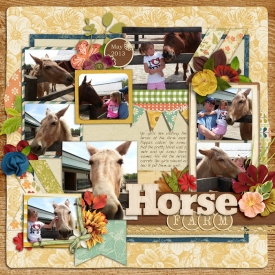 HorseFarm-May2013-LG.jpg