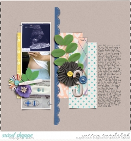 JourneytoMotherhood_SLT13WebWM.jpg
