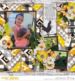 KB--Farmhouse-Love-_CS--TP-58_.jpg