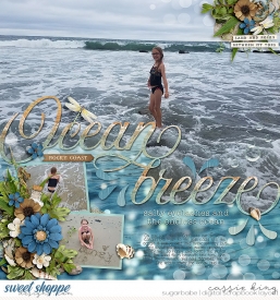 KCB--ASR---Rugged-Beach-_HSA---Summer-Splash-4_.jpg