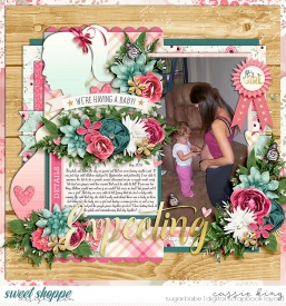 KCB_DSI-grow-through-life-_GTL--pregnancy_.jpg