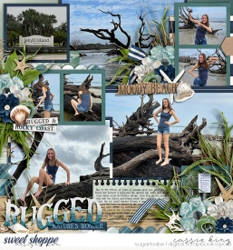 KCB_Stormy_Shores_CS-HP435pg1_.jpg