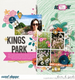 Kings-Park_b.jpg