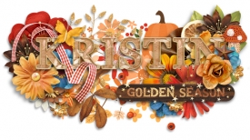Kristin-Storybook-Fall-Siggy.jpg