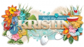 Kristin_littlesandytoes_siggy.jpg