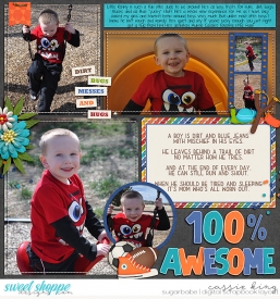 LJS--Photo-Focus-Easy-Album-_LJS-Snips-and-Smails_.jpg