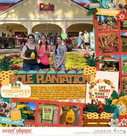 LJS_Summer_Market_CS-palooza444_.jpg