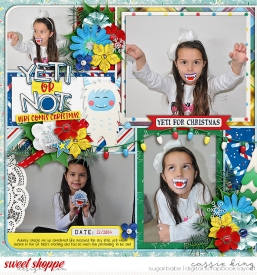 Left---MC_-WPD-Yeti-for-Christmas-_CS-UA9-temp-6_.jpg