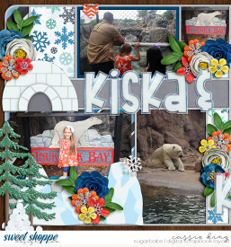 Left-side---CMG-Arctic_Adventure_-_CS-Single-206_.jpg