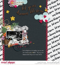 LetYourDreamsBlossomWebWM.jpg