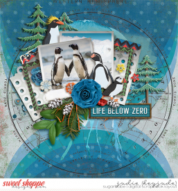 Life-Below-Zero-WM.jpg