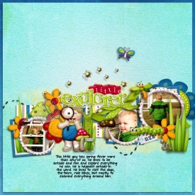 Little-Explorer-WEB1.jpg