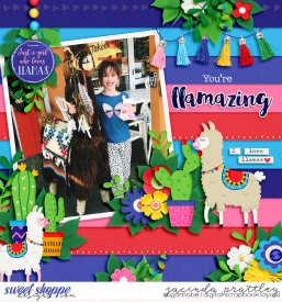 Llamazing-700b.jpg