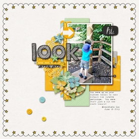 Look4.jpg
