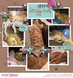 LotsaPhotos3_purrfectdayWebWM.jpg