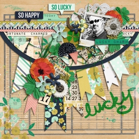 Lucky-Charm3.jpg