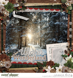 MC-EVergreen-Christmas-_CS-HP-304_.jpg
