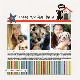 Meet-Our-Dog-Belle.jpg