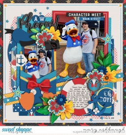MeetingDonaldDuck_SSD_mrsashbaugh.jpg