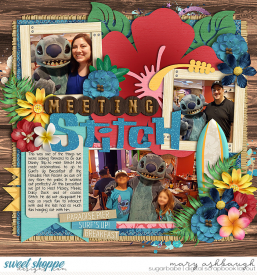 MeetingStitch_SSD_mrsashbaugh.jpg