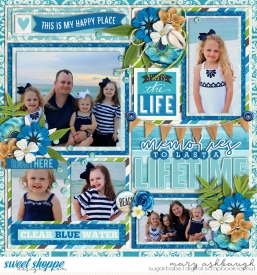 MemoriesAtTheBeach_SSD_mrsashbaugh.jpg