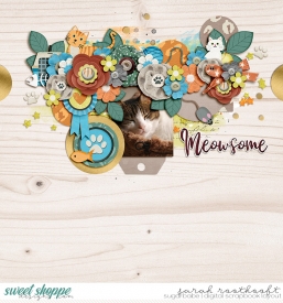 Meowsomeweb.jpg