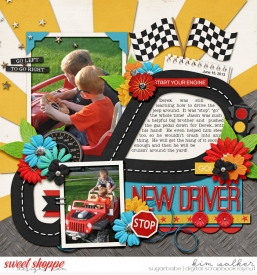 New-Driver2WM.jpg