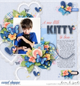 New-kitty-to-love_b.jpg