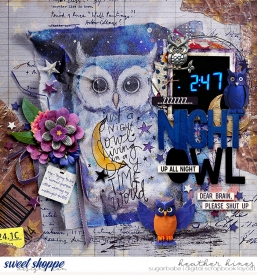 Night-OwlSB.jpg