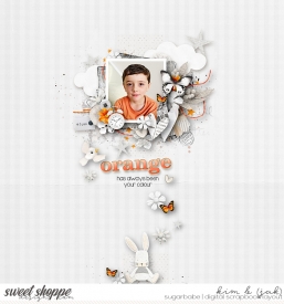 Orange_b.jpg