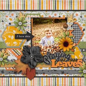 PLAYING_IN_THE_LEAVES3.jpg