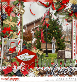 PTD-Homemade-Holiday-_CS-HP-376_.jpg
