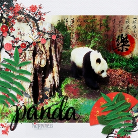 Panda-Happiness-10-19-7.jpg