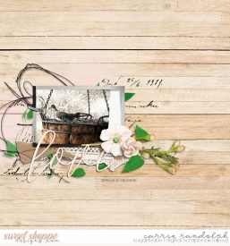 Passport17WebWM.jpg