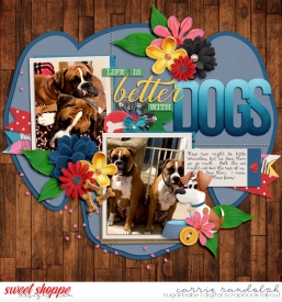 Pets_TP78PetsWebWM.jpg