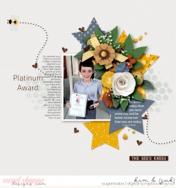 Platinum-award_b.jpg