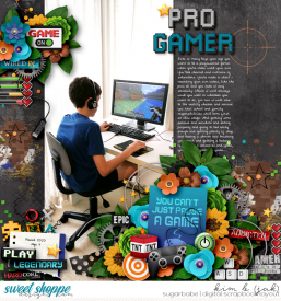 Pro-gamer_b.jpg