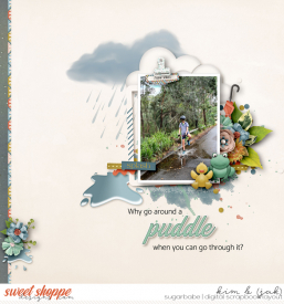 Puddle_b.jpg