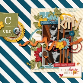 Purrrfect-Kitty.jpg