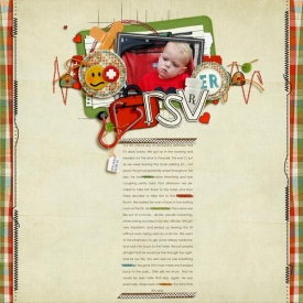 RSV-WEB.jpg