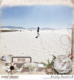 Roam-If-You-Want-To-7-2-WM.jpg